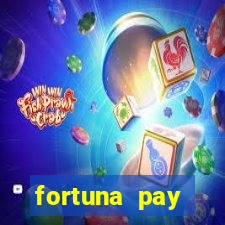 fortuna pay consultoria financeira ltda